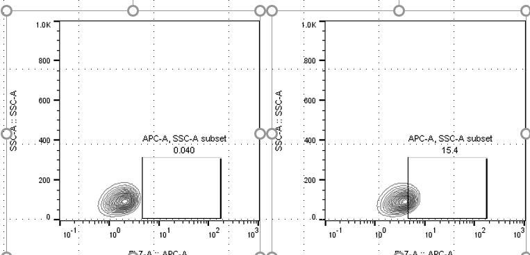CFTR Antibody (CFTR/1643) [Alexa Fluor® 647] NBP2-54509AF647