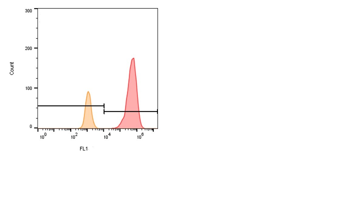 CEACAM5/CD66e Antibody (5C8C4) [Alexa Fluor® 488] NBP2-54625AF488