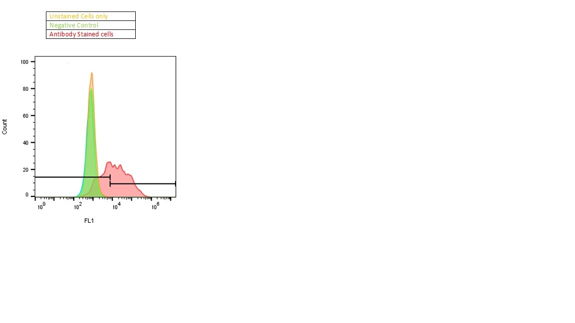 CEACAM5/CD66e Antibody (5C8C4) [Alexa Fluor® 488] NBP2-54625AF488