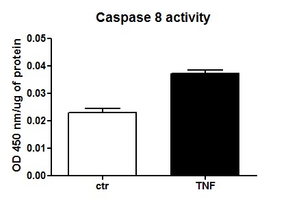 Caspase-8 Activity Assay Kit (Colorimetric) NBP2-54817