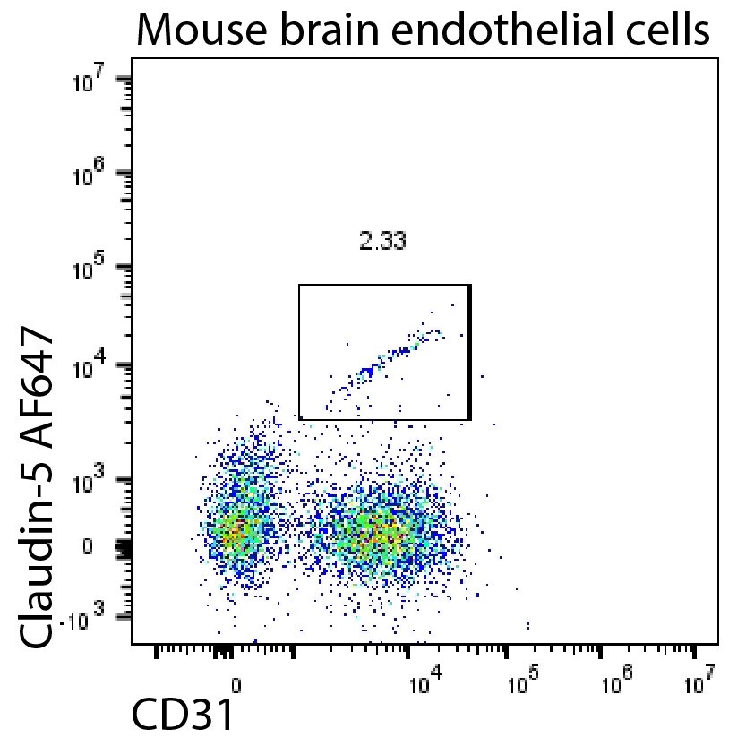 Cytosolic Sulfotransferase 2A1/SULT2A1 Antibody (OTI4D7) [Alexa Fluor® 647] NBP2-71326AF647