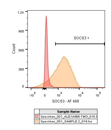 SOCS-3 Antibody (OTI3D3) [Alexa Fluor® 488] NBP2-74276AF488