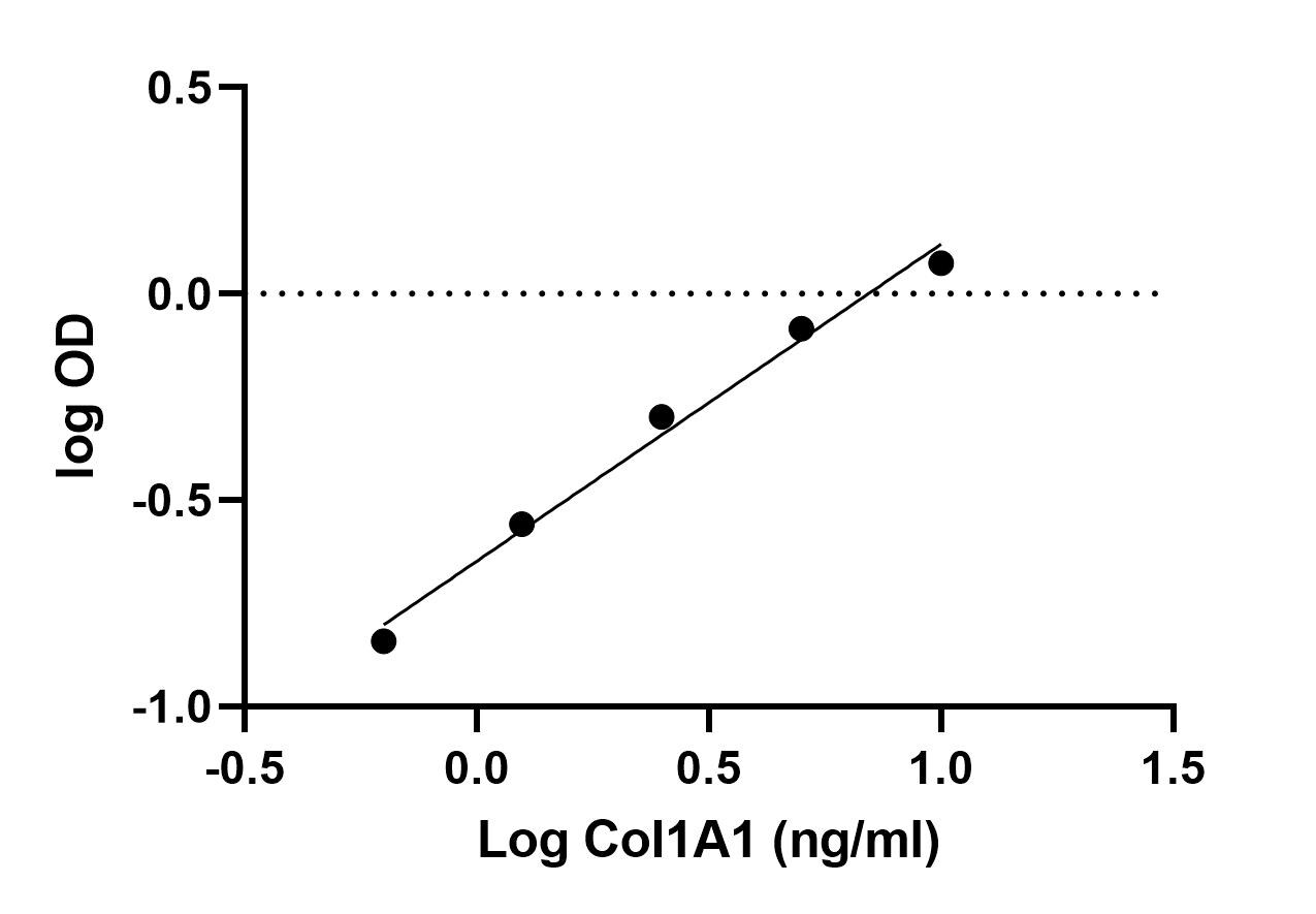 Rat Collagen I alpha 1 ELISA Kit (Colorimetric) NBP2-75840