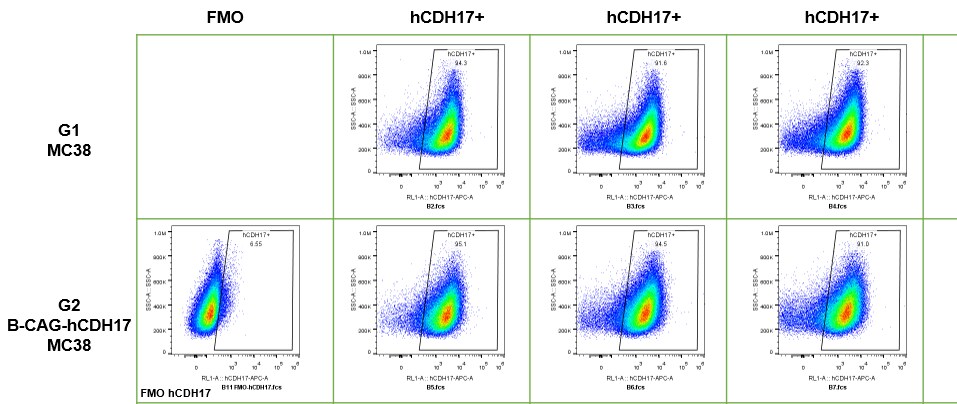 Cadherin-17 Antibody (CDH17/2618) [Allophycocyanin] NBP2-79857APC