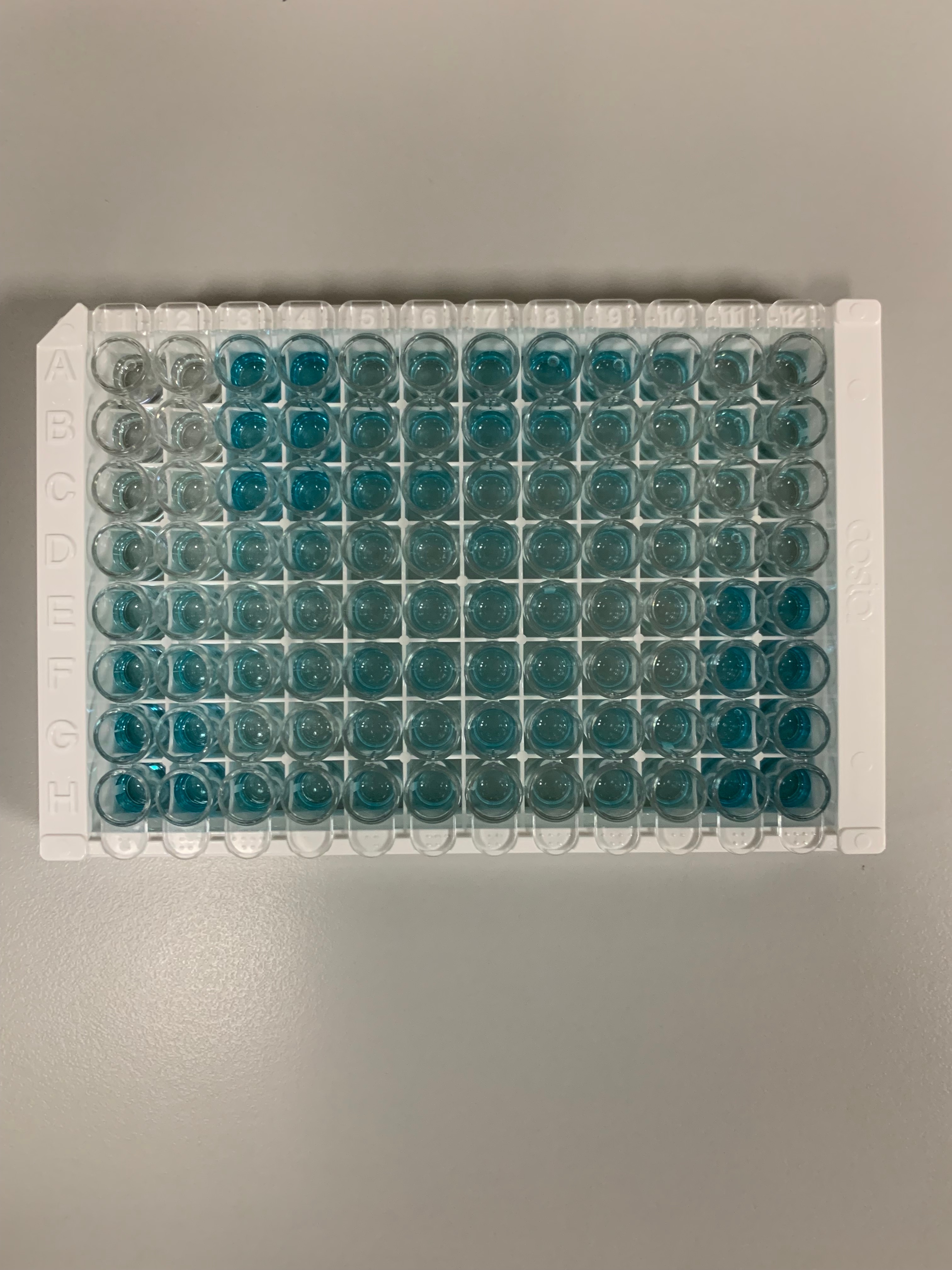 Human Orexin A/Hypocretin-1 ELISA Kit (Colorimetric) NBP2-80230