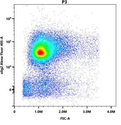 Olig2 Antibody (064) [Alexa Fluor® 405] NBP2-89201AF405