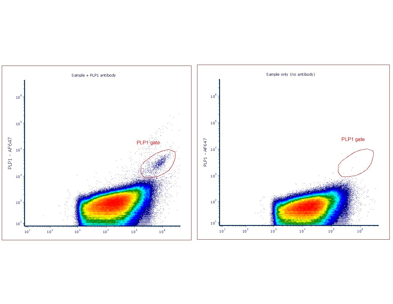 Myelin PLP Antibody (PLP1/4259) [Alexa Fluor® 647] NBP3-08534AF647