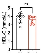 High-density Lipoprotein Cholesterol/HDL-C Assay Kit (Colorimetric) NBP3-25823