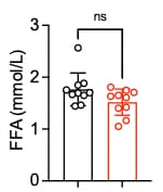 Free Fatty Acids (FFA) Assay Kit (Colorimetric) NBP3-25927