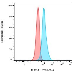 Axl Antibody [PE] - (Research Grade tilvestamab Biosimilar) NBP3-28445PE