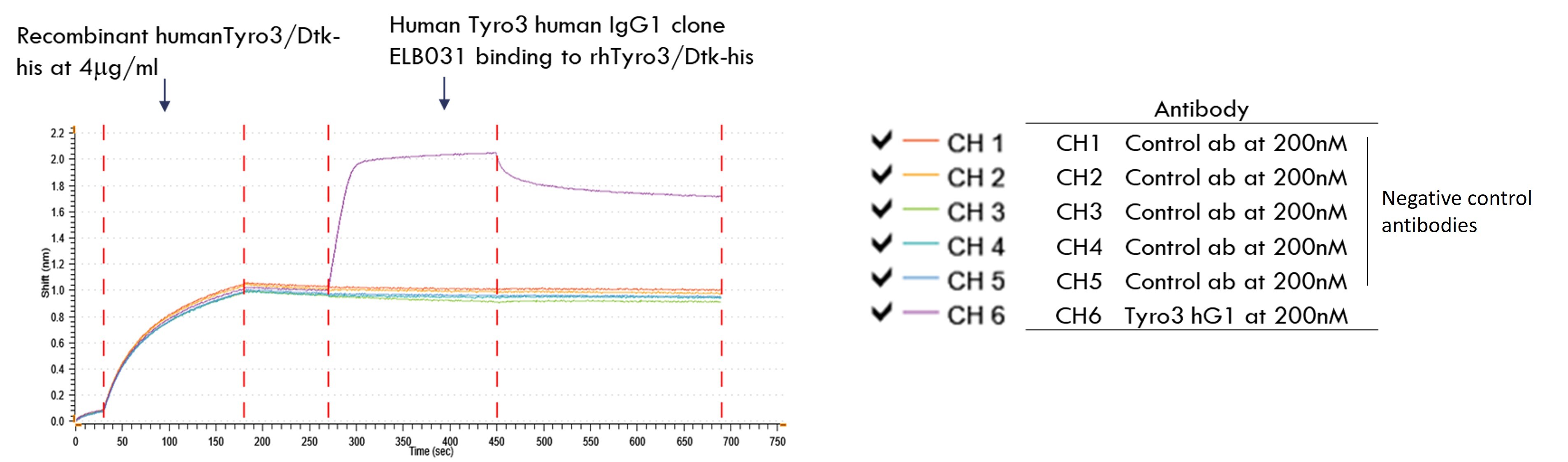 Dtk/TYRO3 Antibody (ELB031) - Humanized - Low Endotoxin, Azide and BSA Free NBP3-28751
