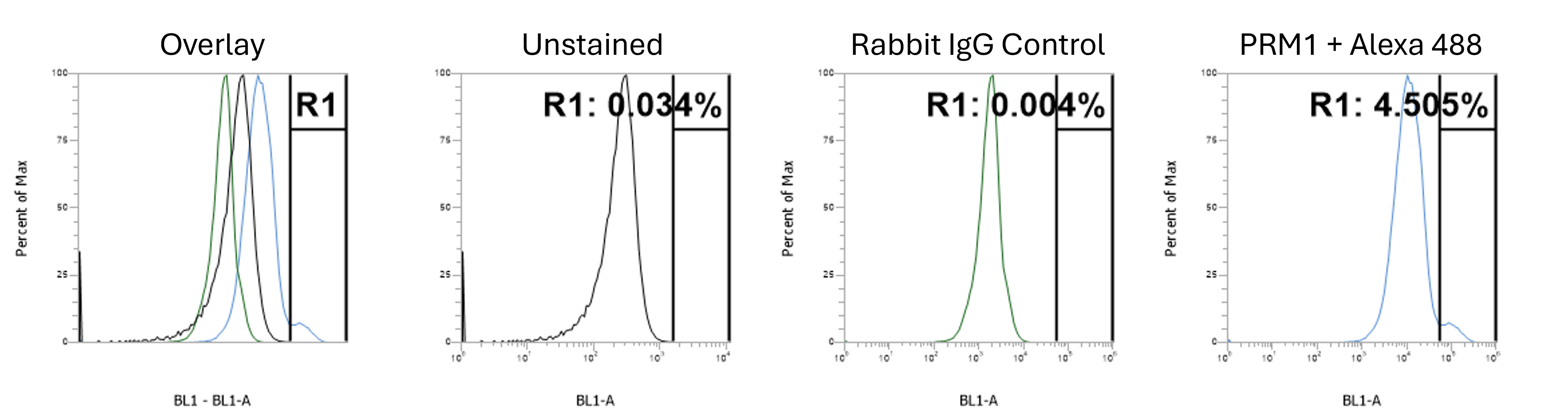 Protamine 1 Antibody - BSA Free NBP3-41307