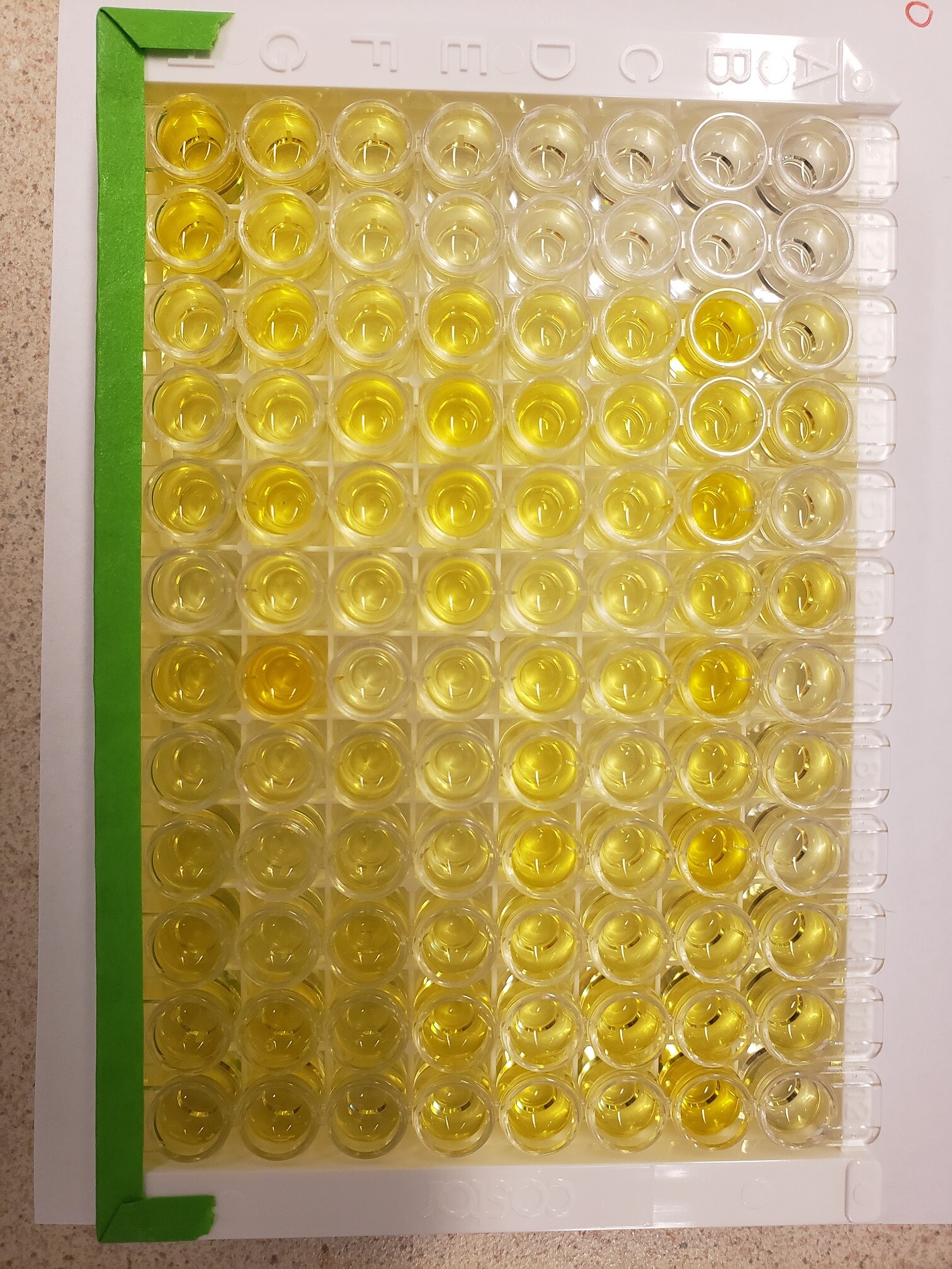 Quantikine Immunoassay Control Group 2 QC05