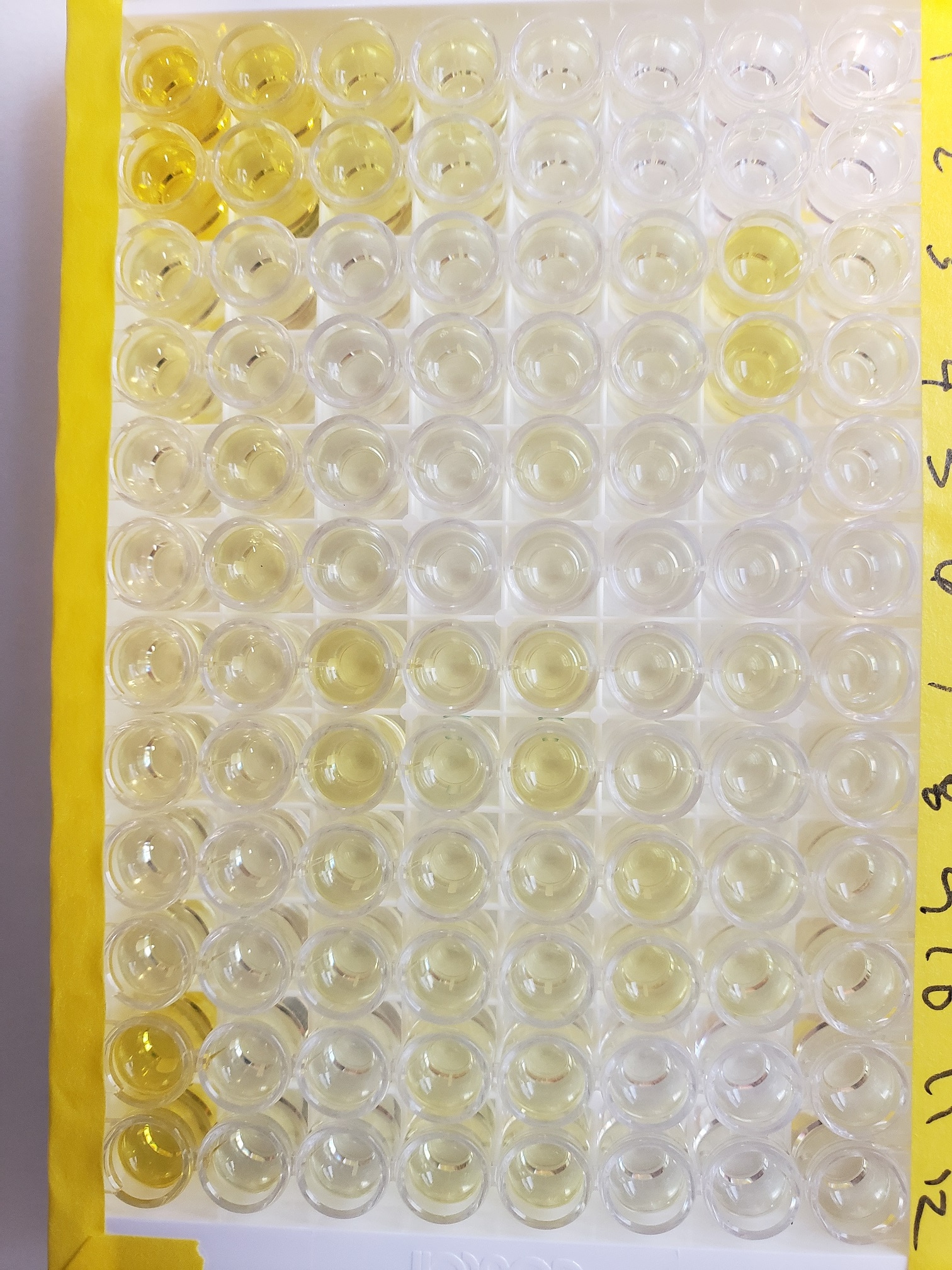 Quantikine Immunoassay Control Set 1156, Human Total IL-18 QC231