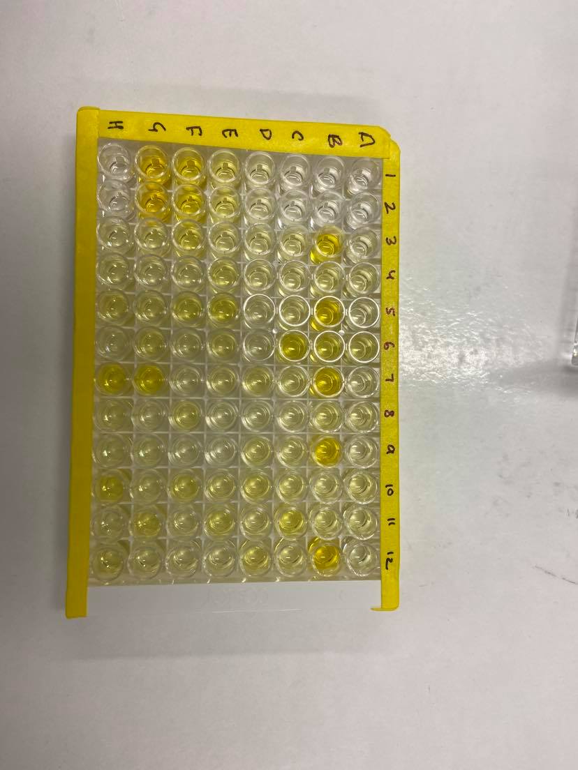 Quantikine Immunoassay Control Group 236 QC236