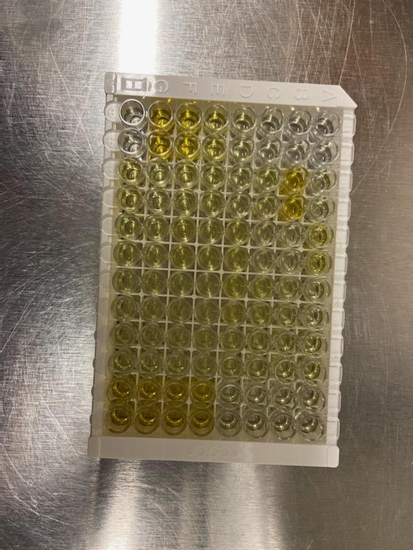 Quantikine Immunoassay Control Group 236 QC236