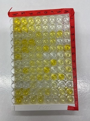 Quantikine Immunoassay Control Group 237 QC237