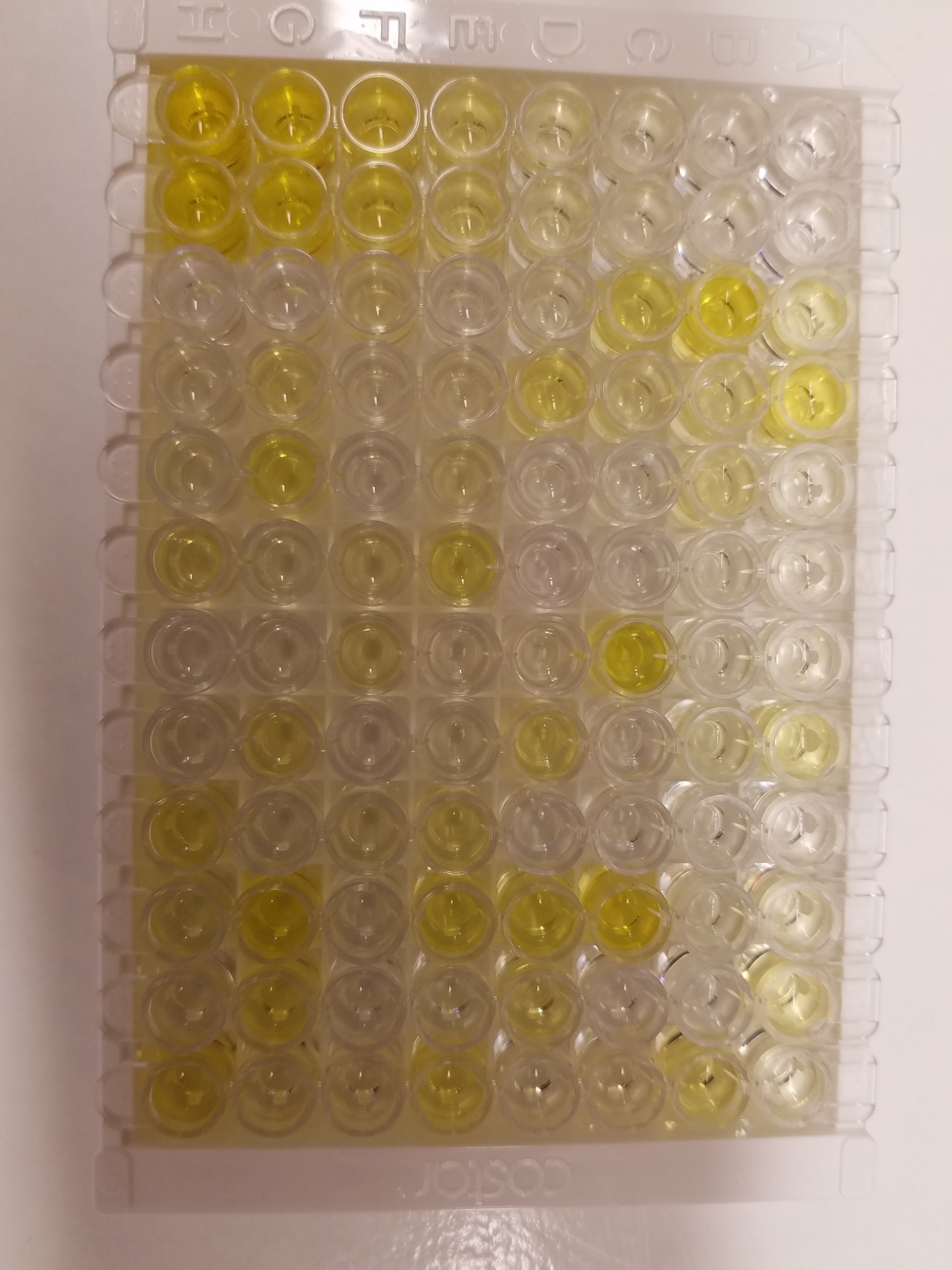 Quantikine Immunoassay Control Group 237 QC237