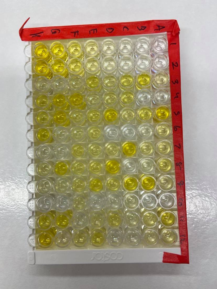 Quantikine Immunoassay Control Group 237 QC237