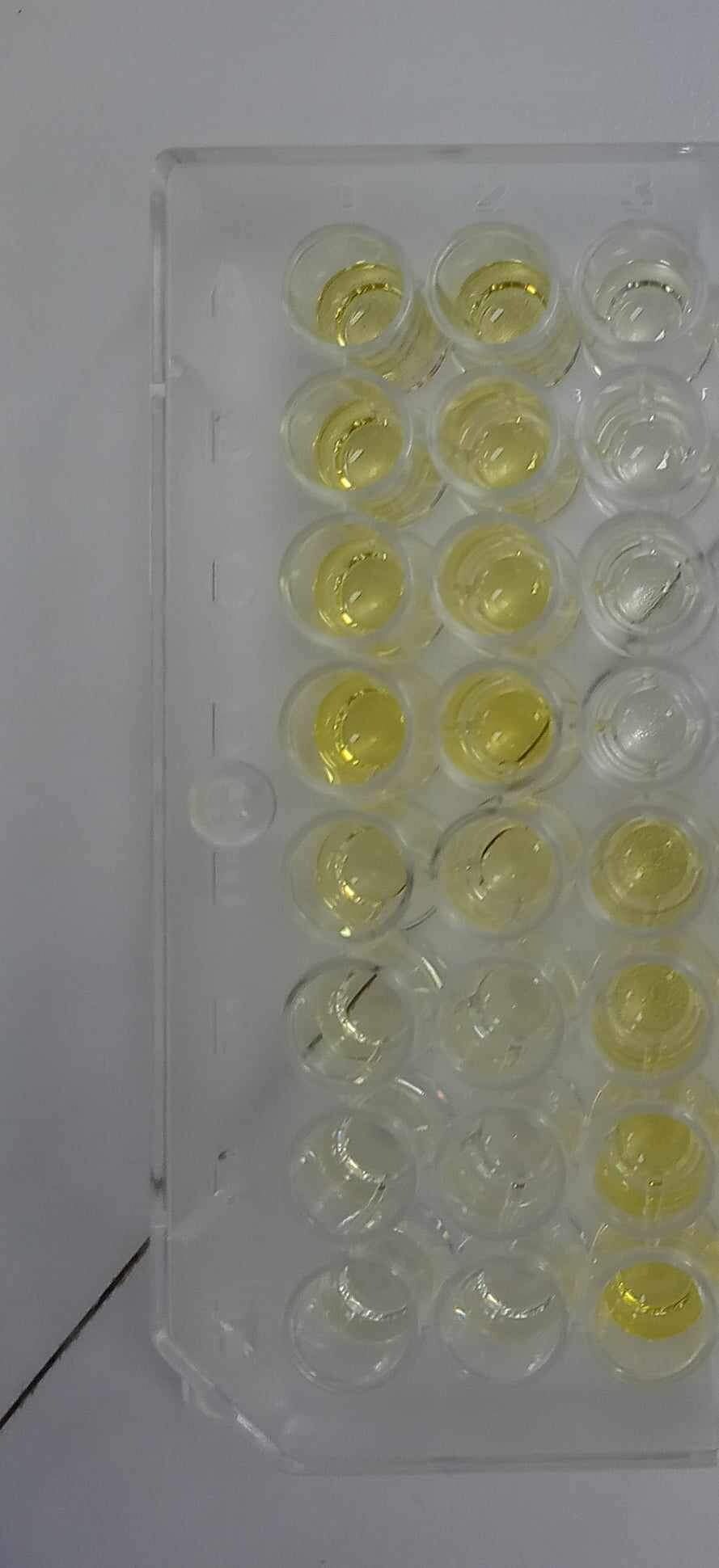 Quantikine Immunoassay Control Group 8 QC23