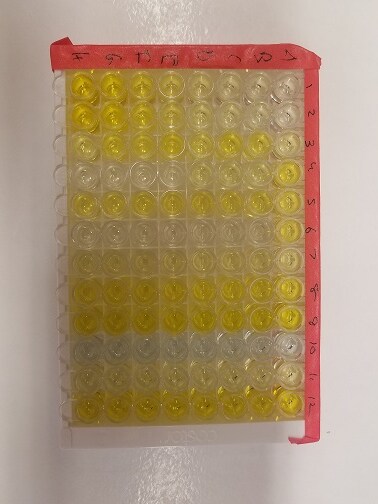 Quantikine Immunoassay Control Group 246 QC246