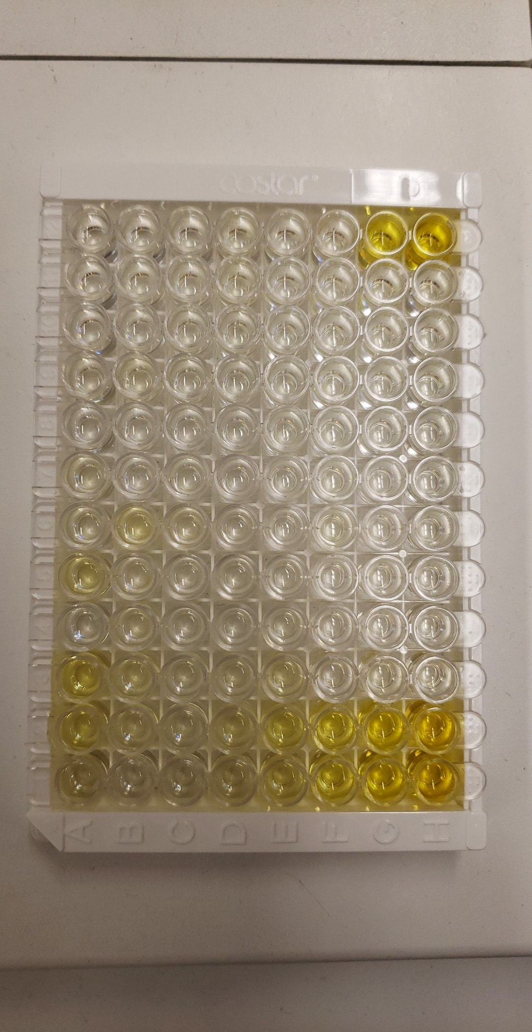 Quantikine Immunoassay Control Group 281 QC281