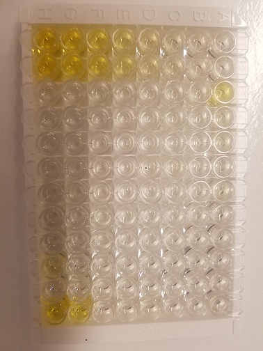Quantikine Immunoassay Control Group 281 QC281