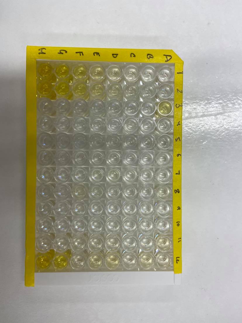 Quantikine Immunoassay Control Group 281 QC281