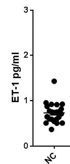 Human Endothelin-1 QuantiGlo ELISA Kit QET00B
