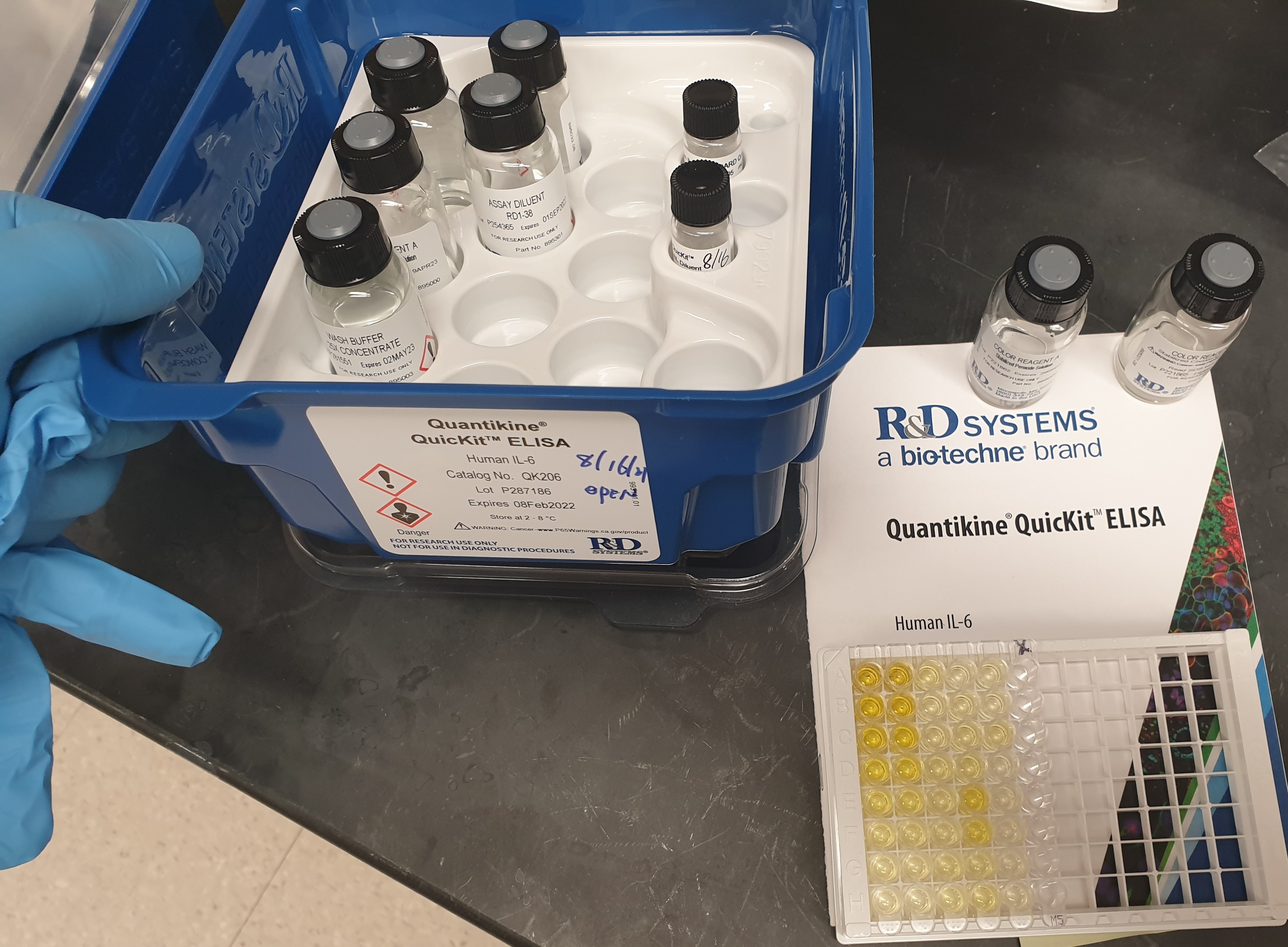 Human IL-6 Quantikine QuicKit ELISA QK206