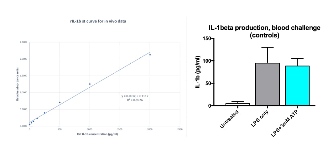 Rat IL-1 beta/IL-1F2 Quantikine ELISA Kit RLB00