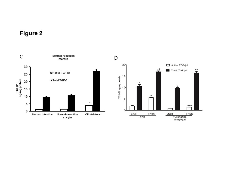 Human/Mouse/Rat/Porcine/Canine TGF-beta 1 Quantikine ELISA DB100B