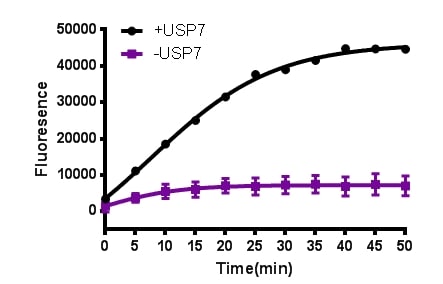 Recombinant Human Ubiquitin AMC Protein, CF U-550