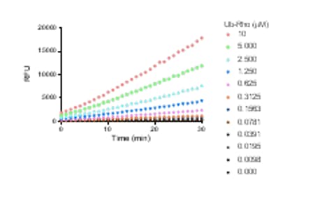 Recombinant Human Ubiquitin AMC Protein, CF U-550