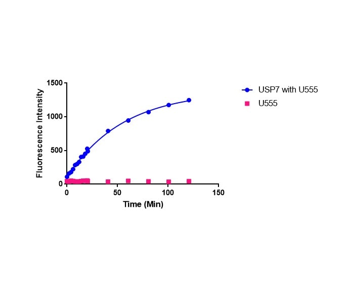Recombinant Human Ubiquitin Rhodamine 110 Protein, CF U-555