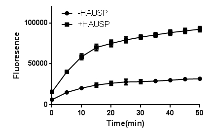 Recombinant Human Ubiquitin Rhodamine 110 Protein, CF U-555