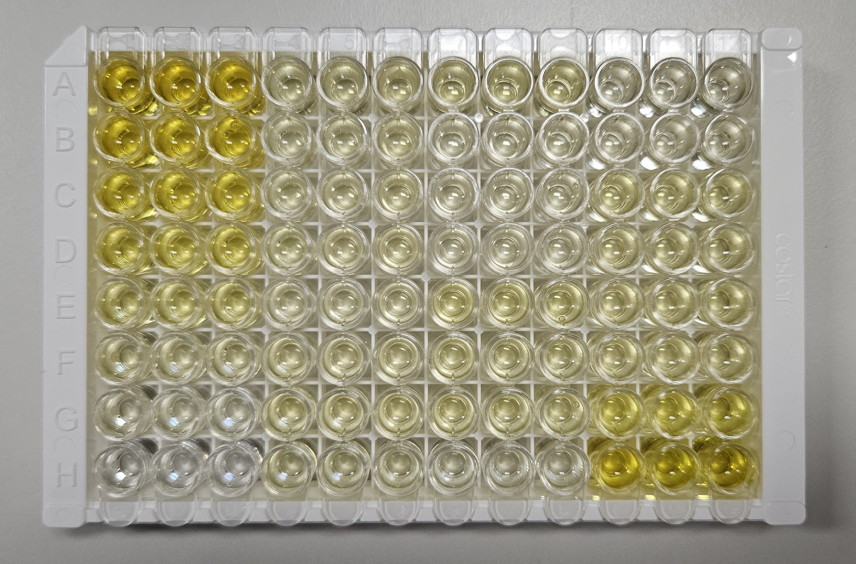 Human P-Selectin/CD62P Quantikine ELISA Kit DPSE00