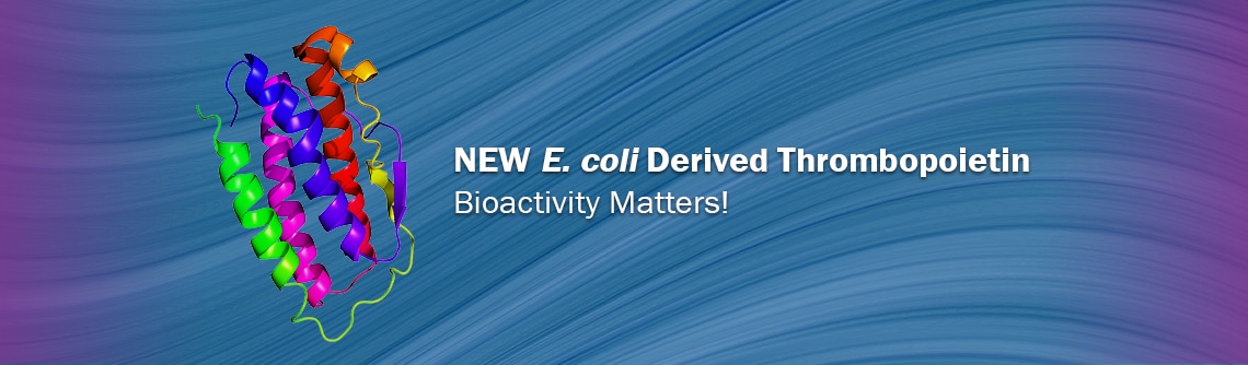 Bioactivity Matters!