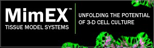 MimEX Tissue Model Systems