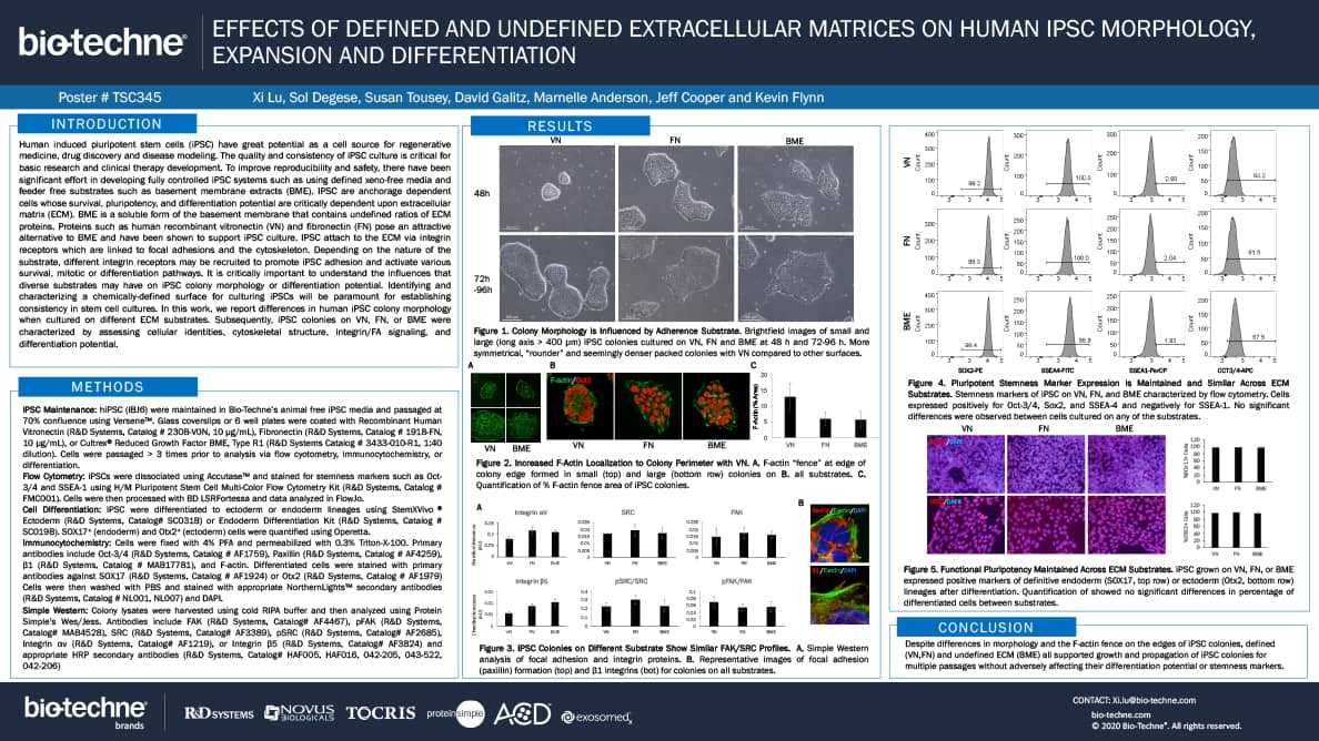 Effects of Defined and Undefined Extracellular Matrices on Human iPSC Morphology, Expansion, and Differentiation