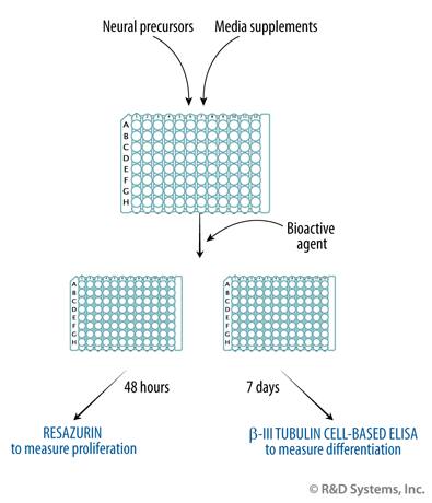 Measures of Toxicity