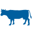 Bovine Proteins, Antibodies, ELISA Kits and ELISpot