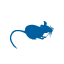 Cotton Rat Proteins, Antibodies, ELISA Kits