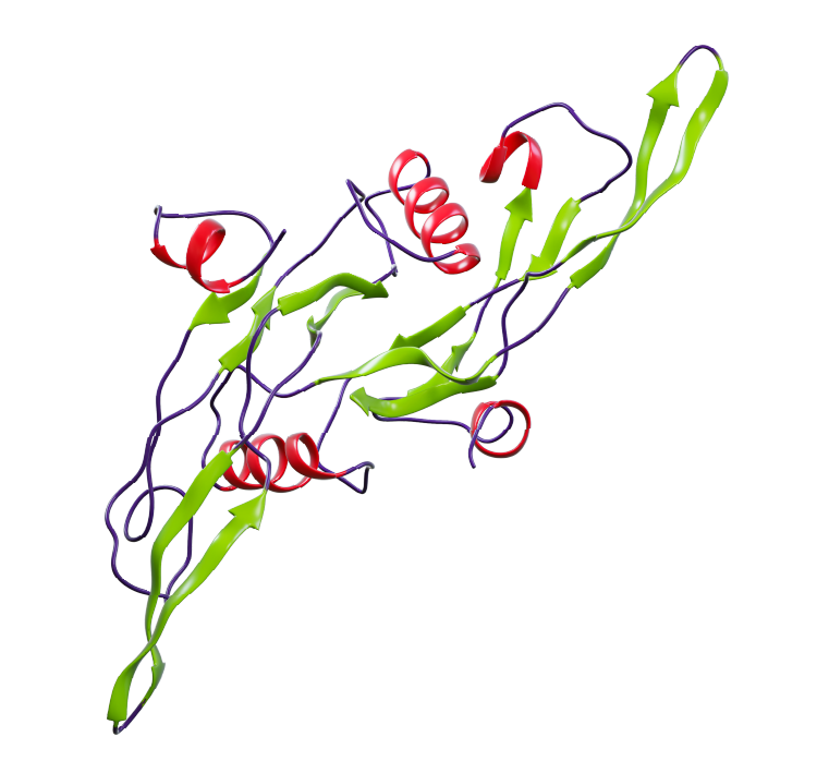 Ribbon structure of TGF-Beta 1, an R&D Systems product