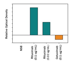The biosimilar antibody is used in a bridging assay with anti-idiotype antibodies
