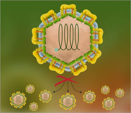 antiviral reagents