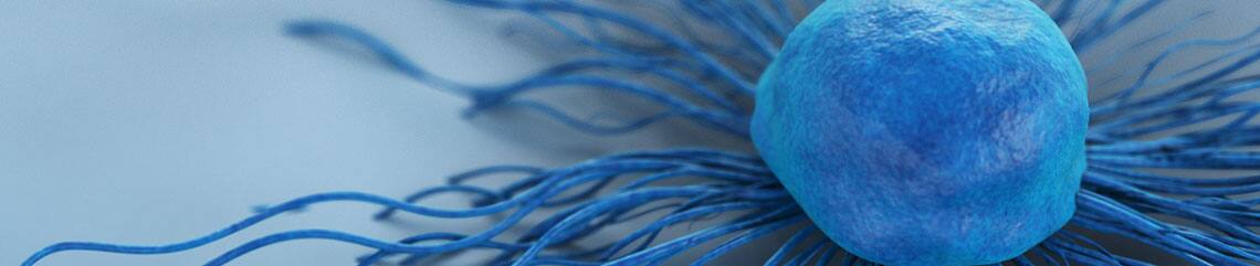 B7-CD28 immune checkpoint proteins