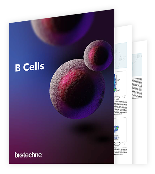 B Cells Brochure