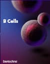 B Cells