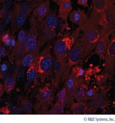 CCM009 Data Examples